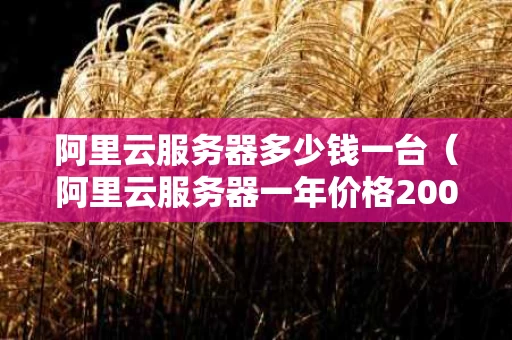 阿里云服务器多少钱一台（阿里云服务器一年价格2000）