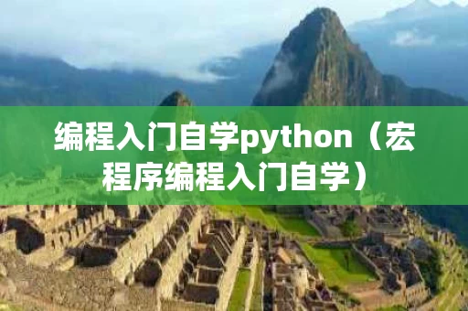 编程入门自学python（宏程序编程入门自学）