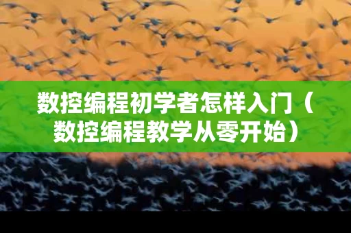 数控编程初学者怎样入门（数控编程教学从零开始）
