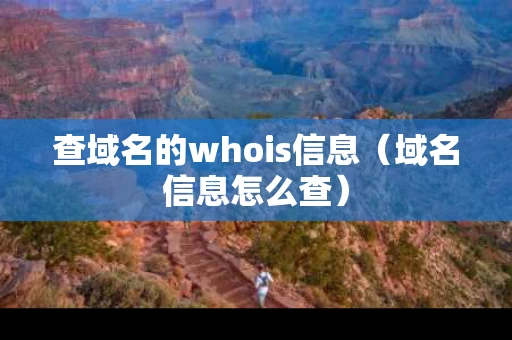 查域名的whois信息（域名信息怎么查）