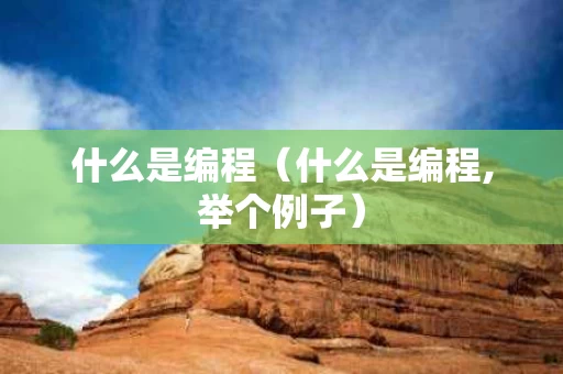 什么是编程（什么是编程,举个例子）