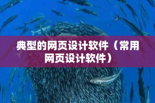 典型的网页设计软件（常用网页设计软件）