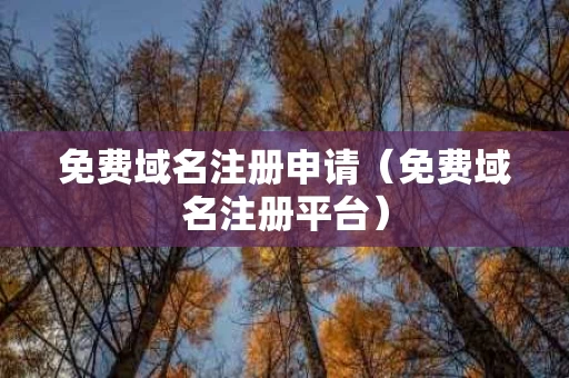 免费域名注册申请（免费域名注册平台）