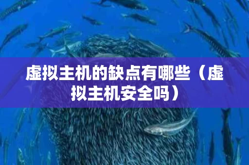 虚拟主机的缺点有哪些（虚拟主机安全吗）