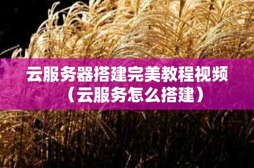 云服务器搭建完美教程视频（云服务怎么搭建）