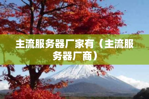 主流服务器厂家有（主流服务器厂商）