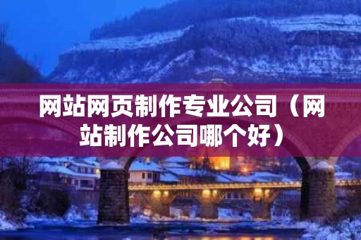 网站网页制作专业公司（网站制作公司哪个好）