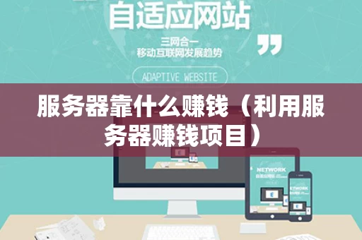 服务器靠什么赚钱（利用服务器赚钱项目）
