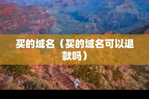 买的域名（买的域名可以退款吗）