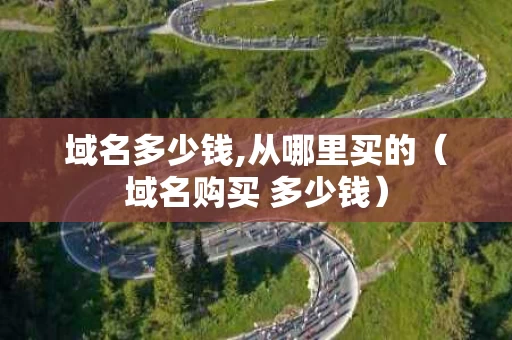 域名多少钱,从哪里买的（域名购买 多少钱）