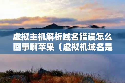 虚拟主机解析域名错误怎么回事啊苹果（虚拟机域名是什么意思）