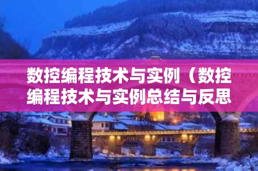 数控编程技术与实例（数控编程技术与实例总结与反思）