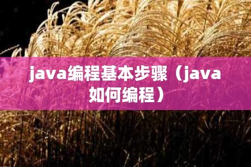 java编程基本步骤（java如何编程）