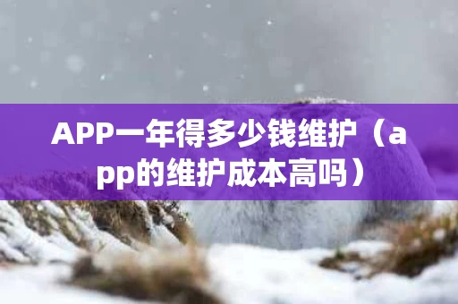 APP一年得多少钱维护（app的维护成本高吗）