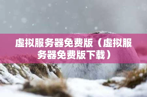 虚拟服务器免费版（虚拟服务器免费版下载）