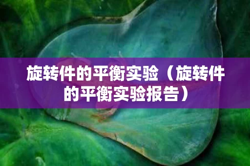 旋转件的平衡实验（旋转件的平衡实验报告）