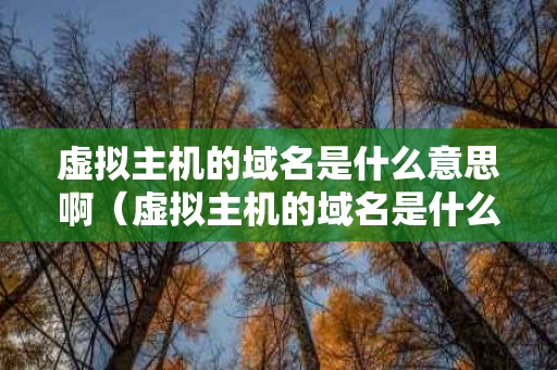 虚拟主机的域名是什么意思啊（虚拟主机的域名是什么意思啊怎么弄）