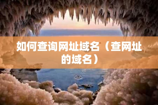 如何查询网址域名（查网址的域名）