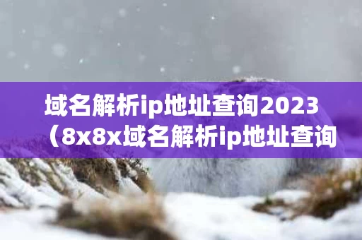 域名解析ip地址查询2023（8x8x域名解析ip地址查询2023）