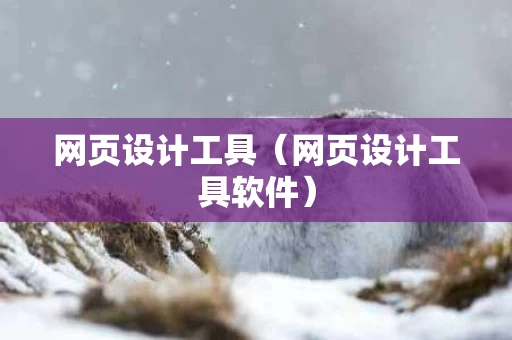 网页设计工具（网页设计工具软件）