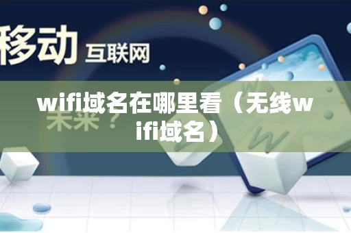 wifi域名在哪里看（无线wifi域名）