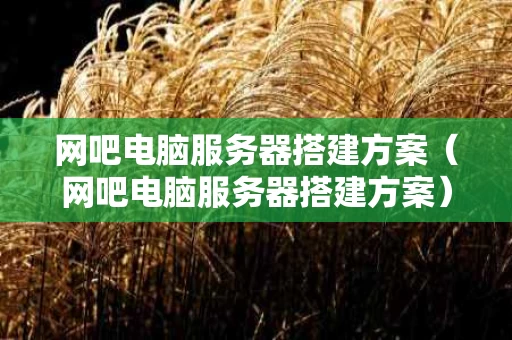 网吧电脑服务器搭建方案（网吧电脑服务器搭建方案）