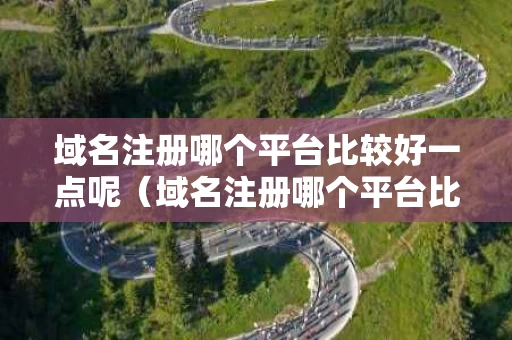 域名注册哪个平台比较好一点呢（域名注册哪个平台比较好一点呢安全吗）