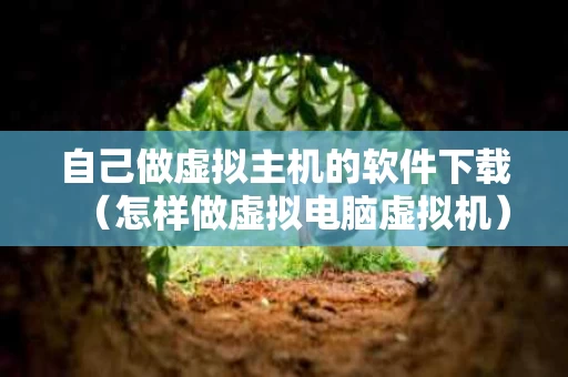 自己做虚拟主机的软件下载（怎样做虚拟电脑虚拟机）