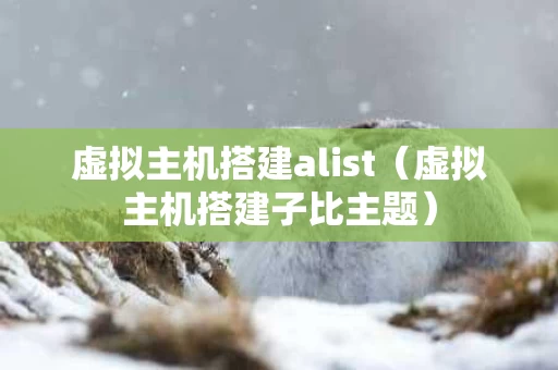虚拟主机搭建alist（虚拟主机搭建子比主题）