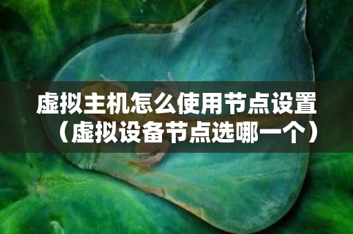 虚拟主机怎么使用节点设置（虚拟设备节点选哪一个）