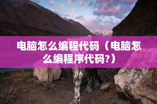 电脑怎么编程代码（电脑怎么编程序代码?）