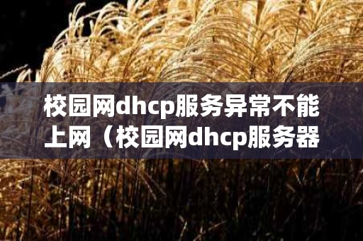 校园网dhcp服务异常不能上网（校园网dhcp服务器）