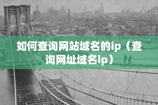 如何查询网站域名的ip（查询网址域名ip）
