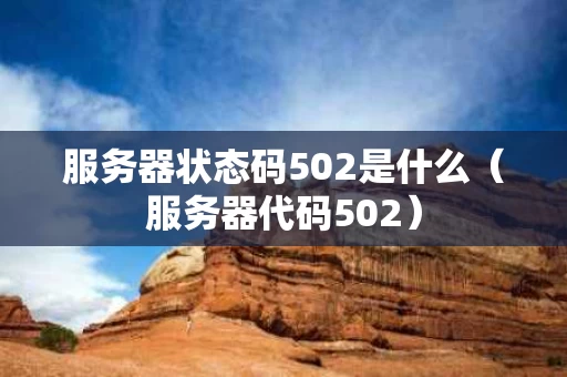 服务器状态码502是什么（服务器代码502）