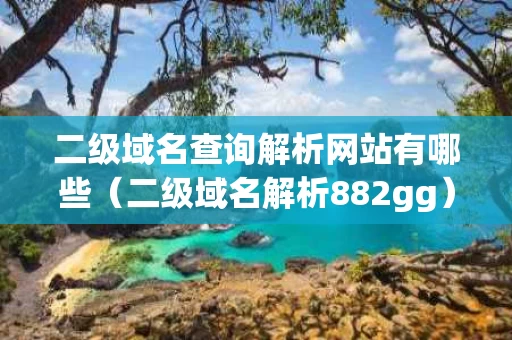 二级域名查询解析网站有哪些（二级域名解析882gg）