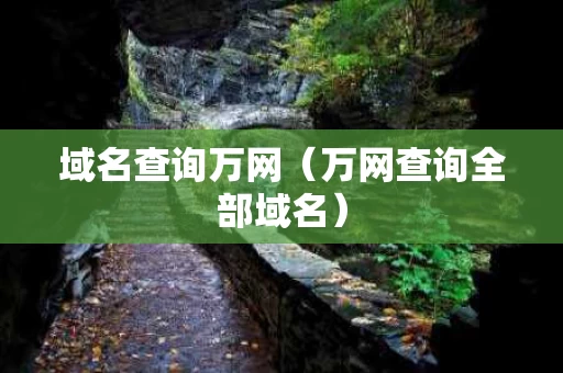 域名查询万网（万网查询全部域名）
