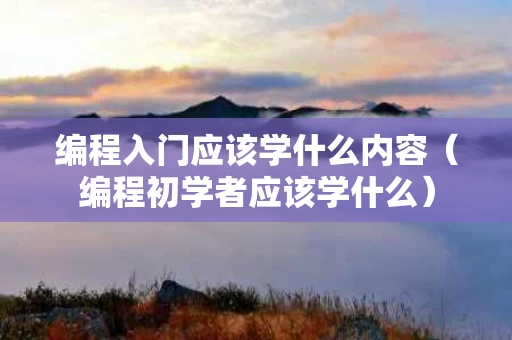 编程入门应该学什么内容（编程初学者应该学什么）