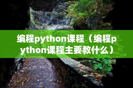 编程python课程（编程python课程主要教什么）
