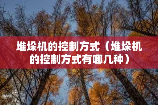 堆垛机的控制方式（堆垛机的控制方式有哪几种）