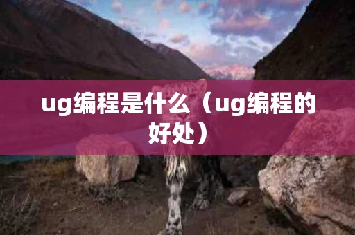 ug编程是什么（ug编程的好处）