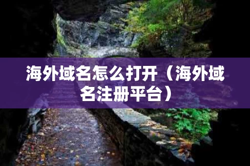 海外域名怎么打开（海外域名注册平台）