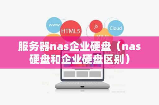 服务器nas企业硬盘（nas硬盘和企业硬盘区别）