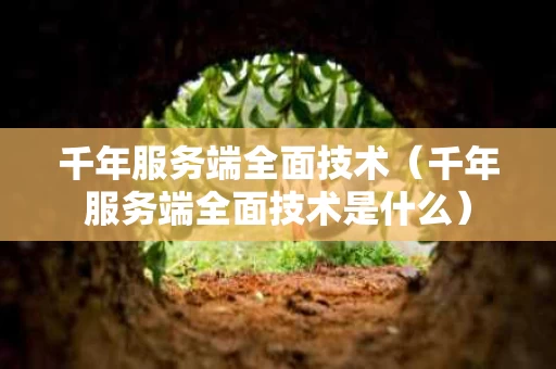 千年服务端全面技术（千年服务端全面技术是什么）