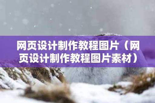 网页设计制作教程图片（网页设计制作教程图片素材）