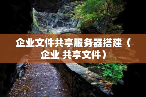 企业文件共享服务器搭建（企业 共享文件）