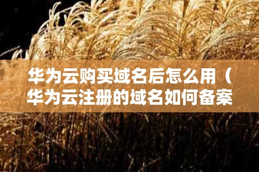 华为云购买域名后怎么用（华为云注册的域名如何备案且绑定到阿里服务器）