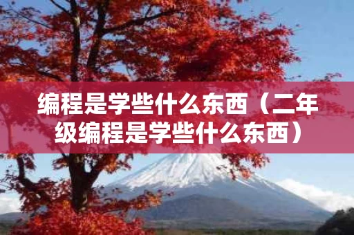 编程是学些什么东西（二年级编程是学些什么东西）