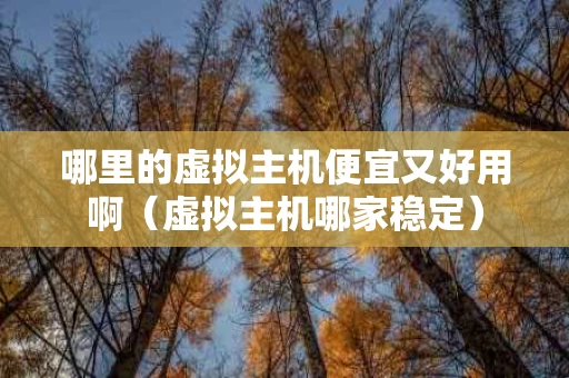 哪里的虚拟主机便宜又好用啊（虚拟主机哪家稳定）