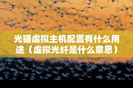 光猫虚拟主机配置有什么用途（虚拟光纤是什么意思）