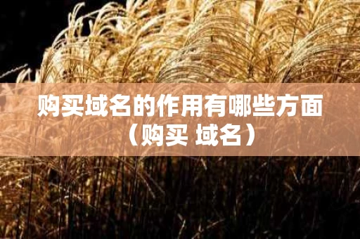 购买域名的作用有哪些方面（购买 域名）